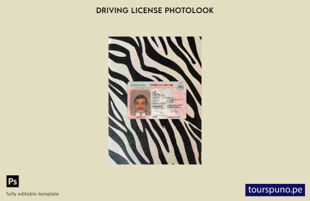 listo para imprimir plantilla FRONTAL de aspecto fotográfico DL de Burkina Faso